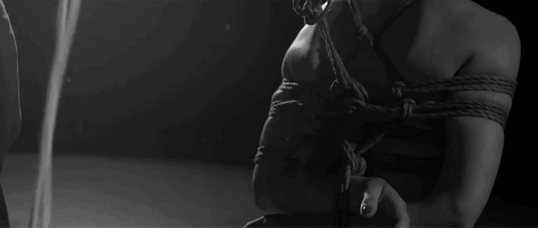 Steven James: Shibari is a Dance